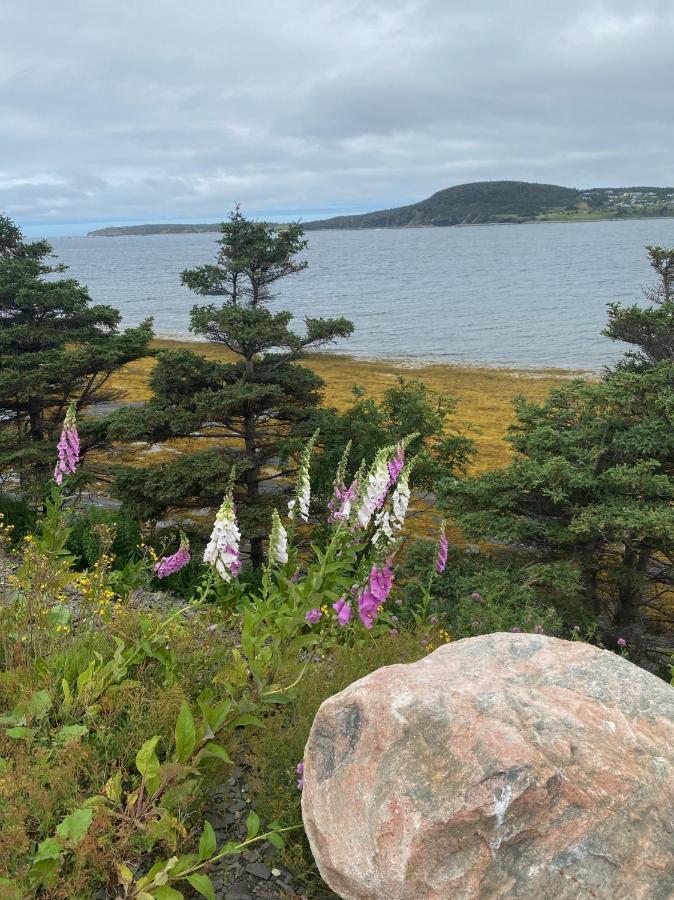 Rocky Harbour Oceanfront Βίλα Εξωτερικό φωτογραφία