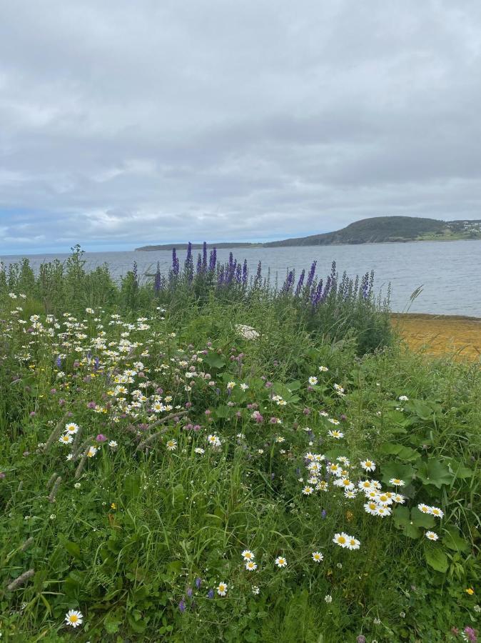 Rocky Harbour Oceanfront Βίλα Εξωτερικό φωτογραφία